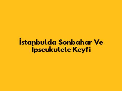 İstanbul'da Sonbahar Ve İpseukulele Keyfi