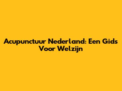 Acupunctuur Nederland: Een Gids Voor Welzijn