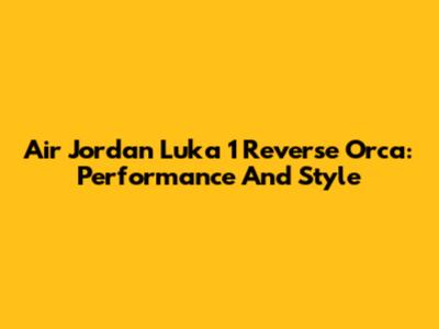 Air Jordan Luka 1 Reverse Orca: Performance And Style