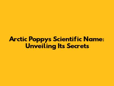 Arctic Poppy's Scientific Name: Unveiling Its Secrets