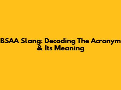BSAA Slang: Decoding The Acronym & Its Meaning