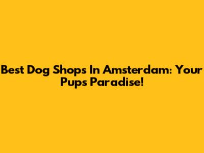 Best Dog Shops In Amsterdam: Your Pup's Paradise!