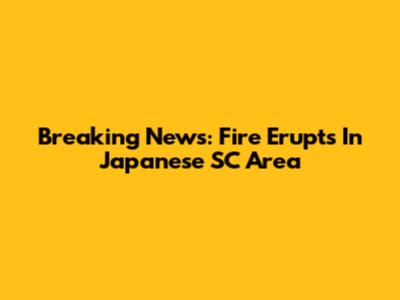 Breaking News: Fire Erupts In Japanese SC Area