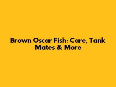 Brown Oscar Fish: Care, Tank Mates & More