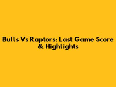 Bulls Vs Raptors: Last Game Score & Highlights