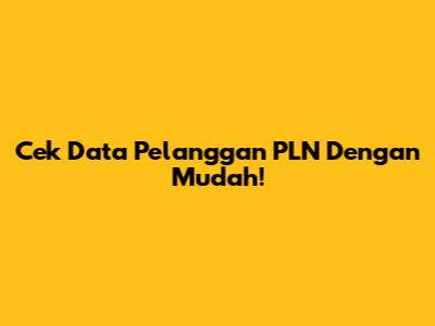 Cek Data Pelanggan PLN Dengan Mudah!