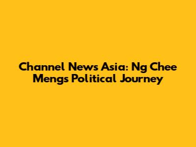 Channel News Asia: Ng Chee Meng's Political Journey