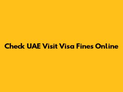 Check UAE Visit Visa Fines Online