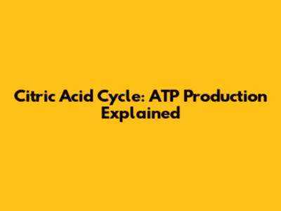 Citric Acid Cycle: ATP Production Explained