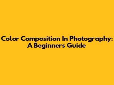 Color Composition In Photography: A Beginner's Guide