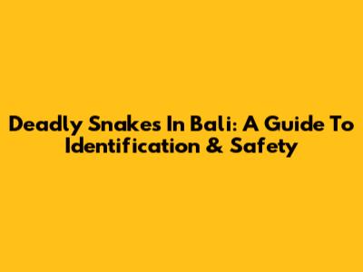 Deadly Snakes In Bali: A Guide To Identification & Safety