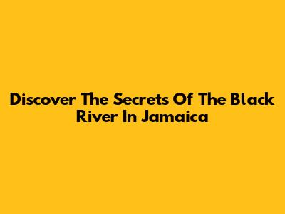 Discover The Secrets Of The Black River In Jamaica