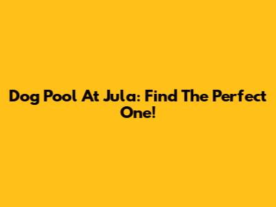 Dog Pool At Jula: Find The Perfect One!