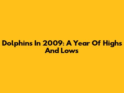 Dolphins In 2009: A Year Of Highs And Lows