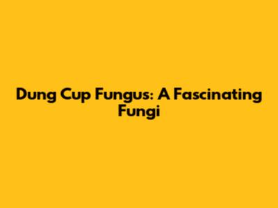 Dung Cup Fungus: A Fascinating Fungi