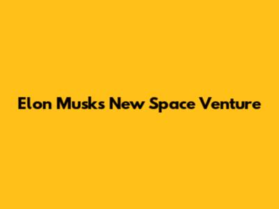 Elon Musk's New Space Venture