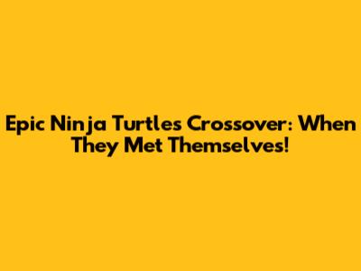 Epic Ninja Turtles Crossover: When They Met Themselves!