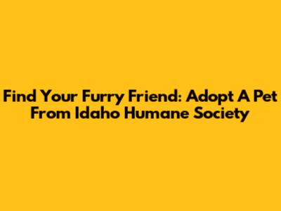 Find Your Furry Friend: Adopt A Pet From Idaho Humane Society