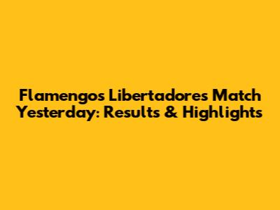 Flamengo's Libertadores Match Yesterday: Results & Highlights