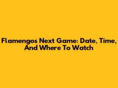 Flamengo's Next Game: Date, Time, And Where To Watch