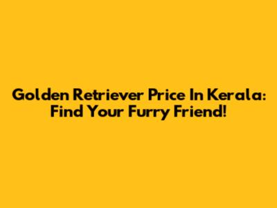 Golden Retriever Price In Kerala: Find Your Furry Friend!