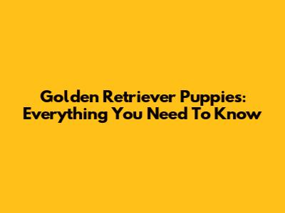 Golden Retriever Puppies: Everything You Need To Know