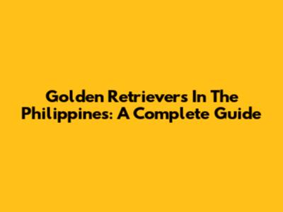 Golden Retrievers In The Philippines: A Complete Guide