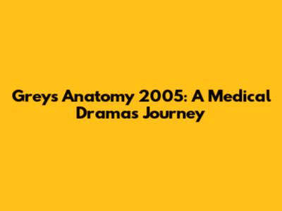 Grey's Anatomy 2005: A Medical Drama's Journey