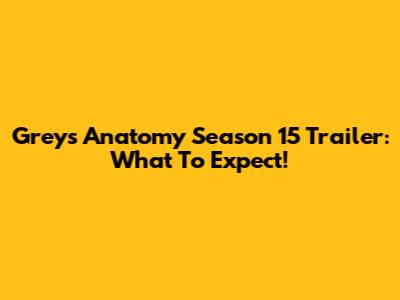 Grey's Anatomy Season 15 Trailer: What To Expect!