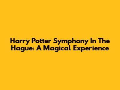 Harry Potter Symphony In The Hague: A Magical Experience