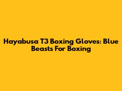 Hayabusa T3 Boxing Gloves: Blue Beasts For Boxing