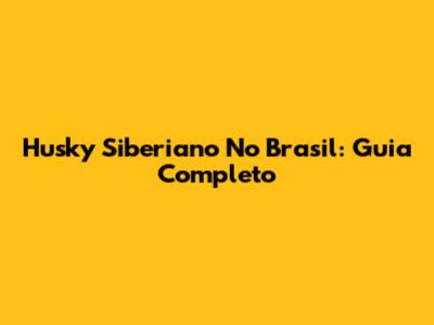 Husky Siberiano No Brasil: Guia Completo