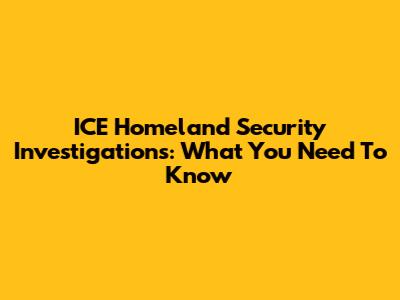 ICE Homeland Security Investigations: What You Need To Know