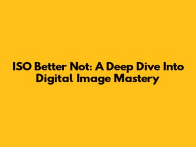ISO Better Not: A Deep Dive Into Digital Image Mastery
