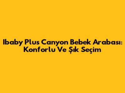 Ibaby Plus Canyon Bebek Arabası: Konforlu Ve Şık Seçim