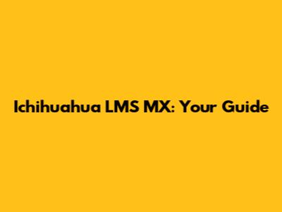 Ichihuahua LMS MX: Your Guide