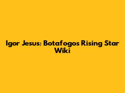 Igor Jesus: Botafogo's Rising Star Wiki