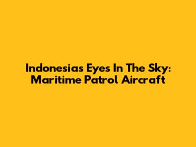 Indonesia's Eyes In The Sky: Maritime Patrol Aircraft