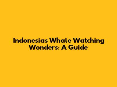 Indonesia's Whale Watching Wonders: A Guide