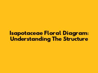 Isapotaceae Floral Diagram: Understanding The Structure