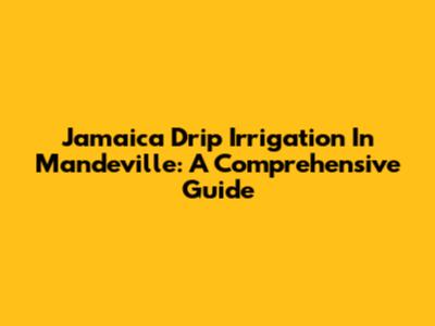 Jamaica Drip Irrigation In Mandeville: A Comprehensive Guide