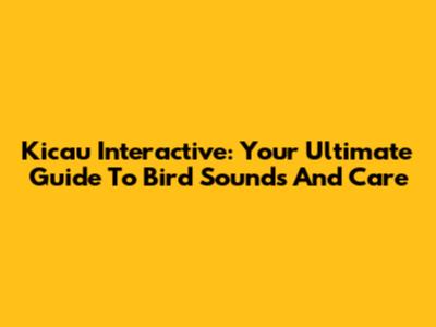 Kicau Interactive: Your Ultimate Guide To Bird Sounds And Care