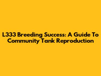 L333 Breeding Success: A Guide To Community Tank Reproduction