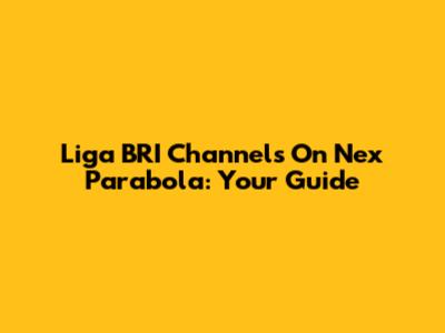 Liga BRI Channels On Nex Parabola: Your Guide