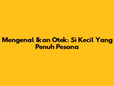 Mengenal Ikan Otek: Si Kecil Yang Penuh Pesona