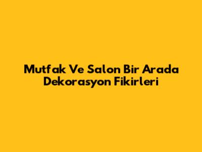 Mutfak Ve Salon Bir Arada Dekorasyon Fikirleri