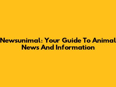 Newsunimal: Your Guide To Animal News And Information