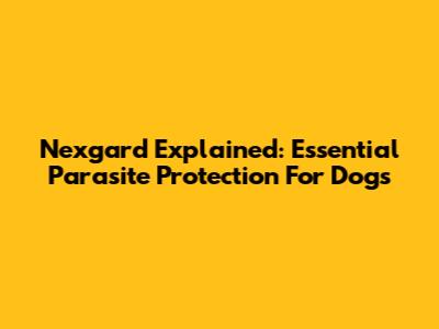 Nexgard Explained: Essential Parasite Protection For Dogs