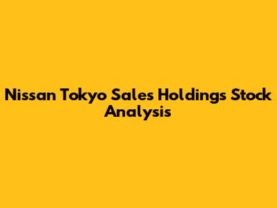 Nissan Tokyo Sales Holdings Stock Analysis