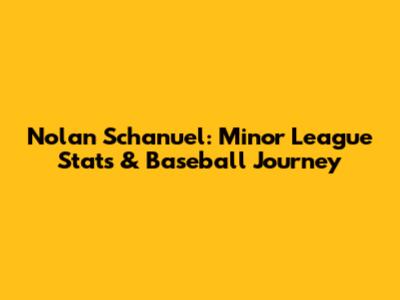 Nolan Schanuel: Minor League Stats & Baseball Journey